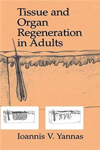 Tissue and Organ Regeneration in Adults