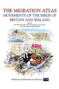 Migration Atlas