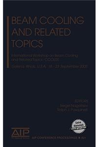 Beam Cooling and Related Topics