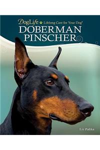 Doberman Pinscher