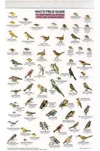 Mac's Field Guides: Northern California Park & Garden Birds