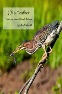 Of a Feather: Travel and Nature Through the Lens