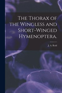 Thorax of the Wingless and Short-winged Hymenoptera.