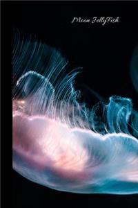 Moon Jellyfish