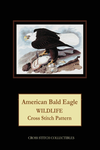 American Bald Eagle