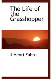 The Life of the Grasshopper