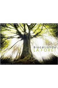 Broceliande la Foret 2017