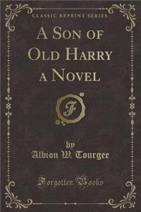 A Son of Old Harry a Novel (Classic Reprint)