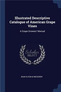Illustrated Descriptive Catalogue of American Grape Vines