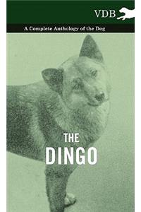 The Dingo - A Complete Anthology of the Dog -