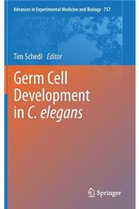 Germ Cell Development in C. Elegans