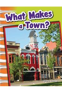 What Makes a Town? (Library Bound)