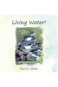 Living Water!