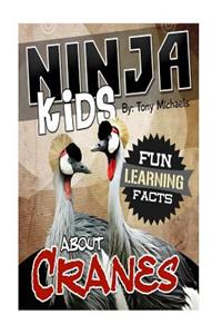 Fun Learning Facts about Cranes