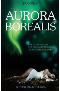 Aurora borealis
