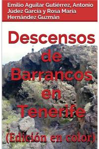 Descensos de barrancos en Tenerife (Edición en Color)