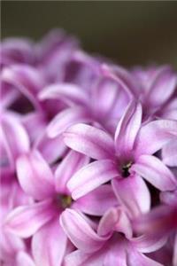 Mind Blowing Purple Hyacinth Journal