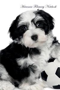 Havanese February Notebook Havanese Record, Log, Diary, Special Memories, To Do List, Academic Notepad, Scrapbook & More