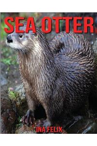 Sea Otter