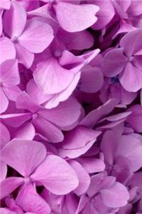 Petal Notebook