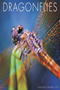 Dragonflies 2020 Wall Calendar