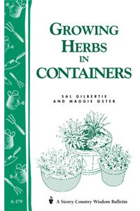 Growing Herbs in Containers