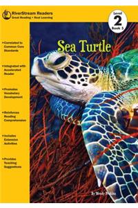 Sea Turtle