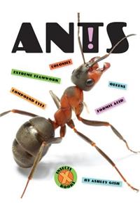 Ants