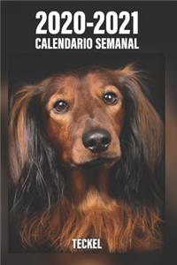 2020-2021 Calendario Semanal Teckel