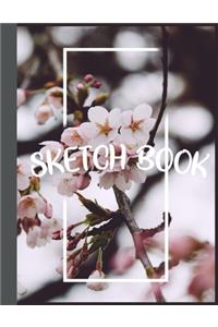 Sketch Book