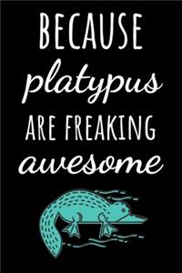 Because Platypus Are Freaking Awesome