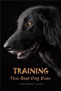 Training the best dog ever