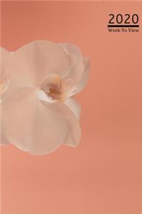 A5 2020 Diary Week To View Paperback Cover With Alternative Design -