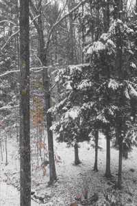 2020 Weekly Planner Winter Pretty Snowstorm 134 Pages