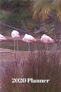 2020 Planner (Pink Flamingos)