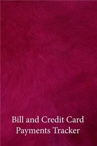 Bill and Credit Card Payments Tracker