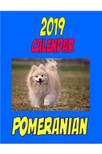 2019 Calendar Pomeranian