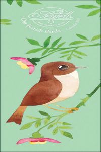 MATT SEWELLS BIRDS S 2020
