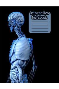 Interactive Notebook