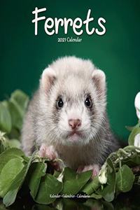 Ferrets 2021 Wall Calendar