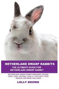 Netherland Dwarf Rabbits