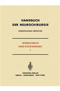 Wirbelsäule und Rückenmark I