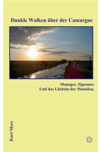 Dunkle Wolken über der Camargue