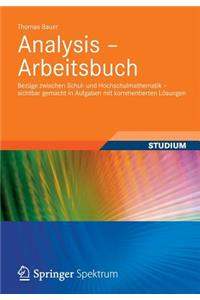 Analysis - Arbeitsbuch