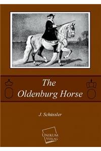 Oldenburg Horse