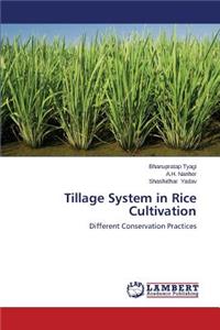 Tillage System in Rice Cultivation