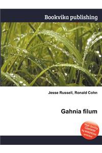 Gahnia Filum