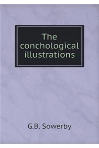 The conchological illustrations
