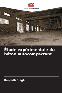 Étude expérimentale du béton autocompactant