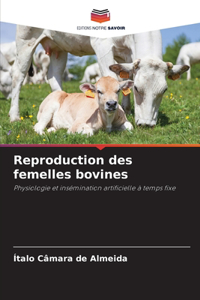 Reproduction des femelles bovines